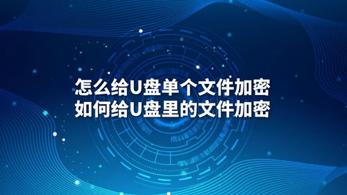 U盤(pán)文件加密指南 從單個(gè)文件到批量保護(hù)與專業(yè)軟件開(kāi)發(fā)